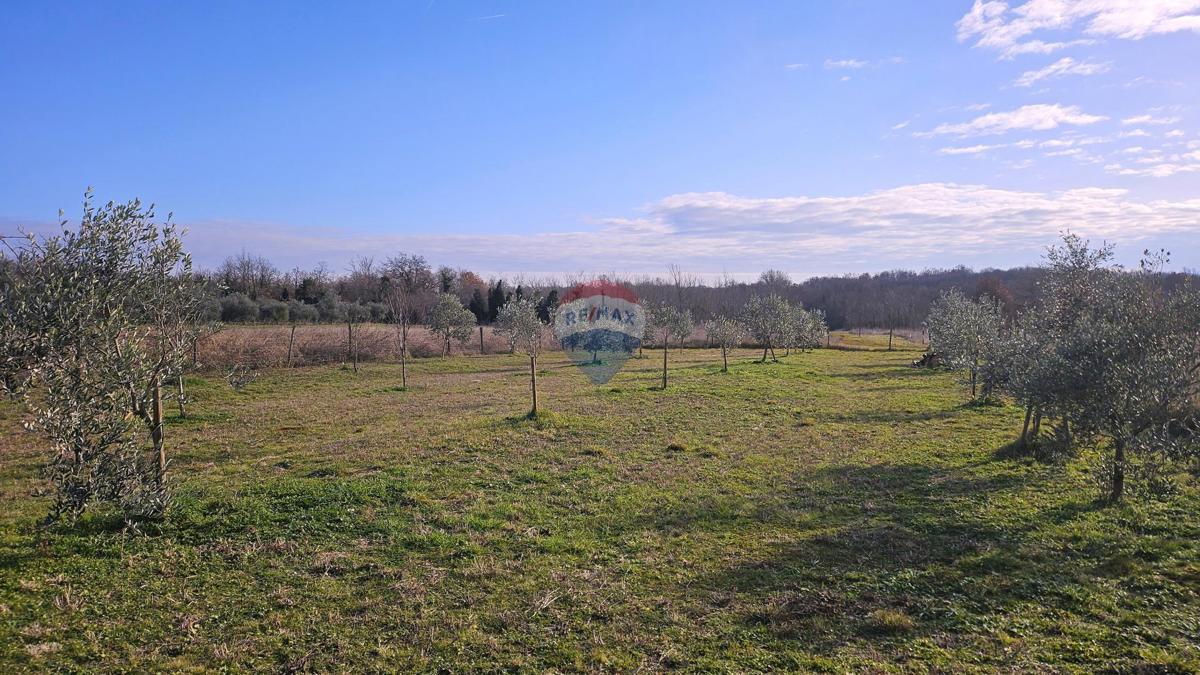 Stavbno zemljišče Lovrečica, Umag, 1.327m2