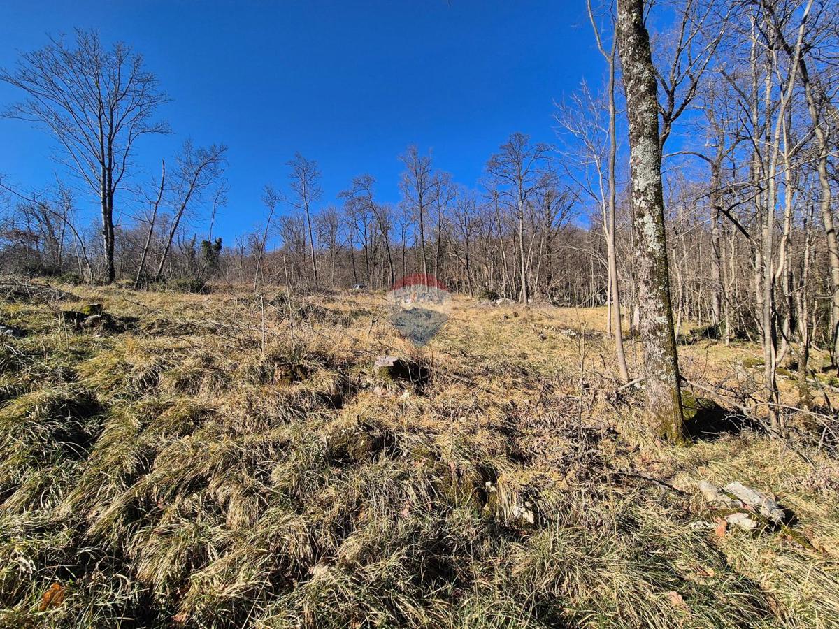 Stavbno zemljišče Kastav, 662m2