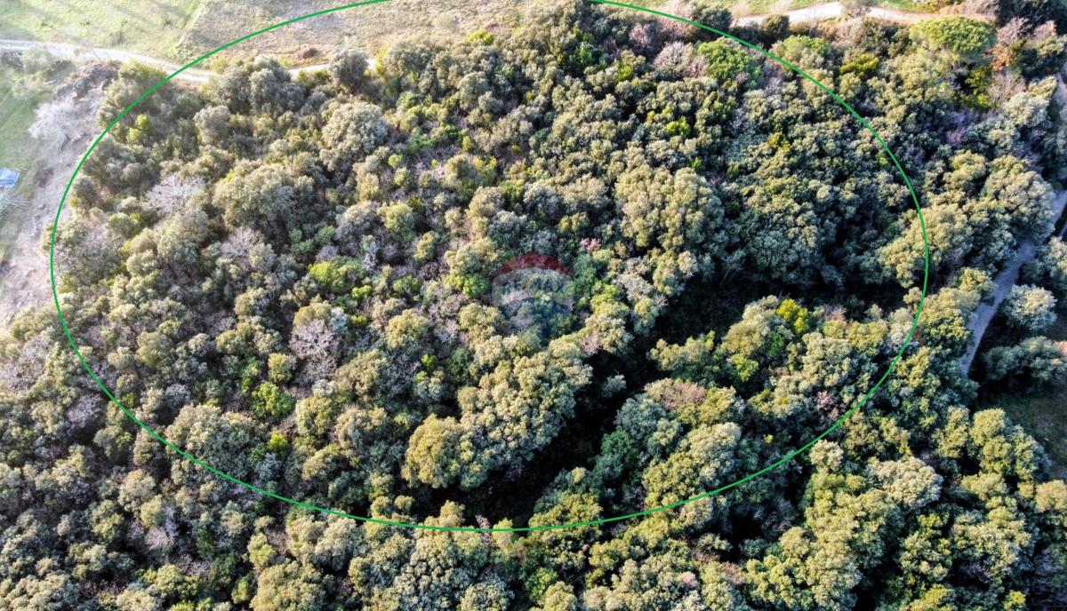 Stavbno zemljišče Rovinj, 6.787m2