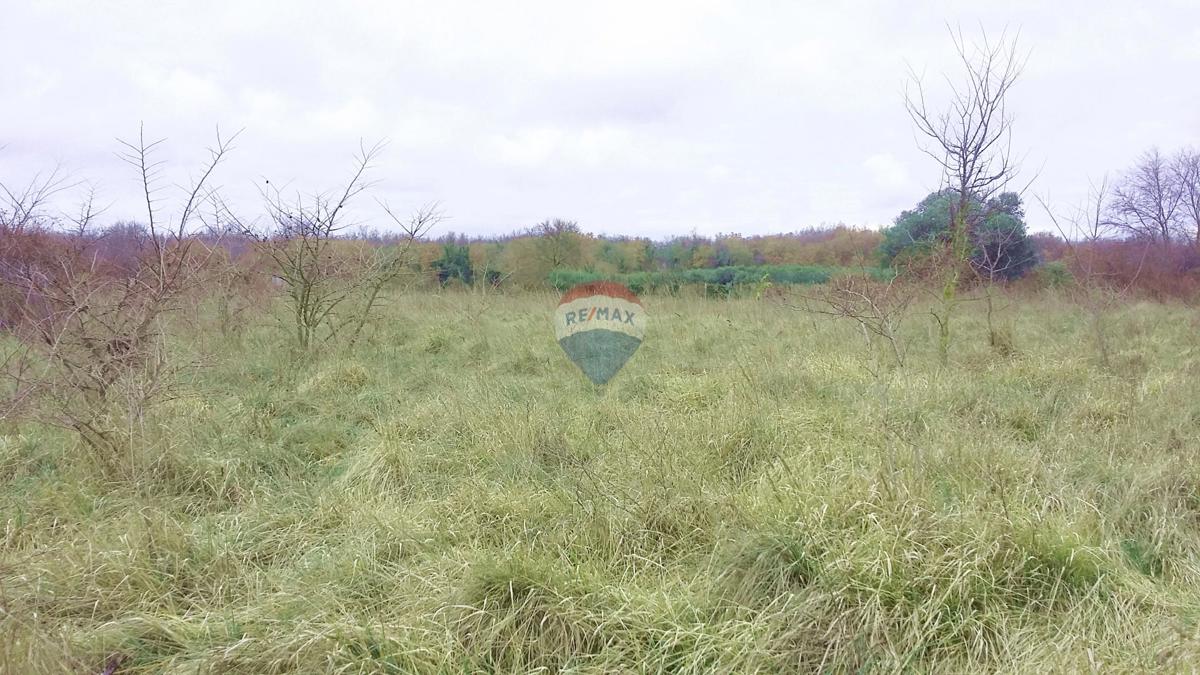 Stavbno zemljišče Umag, 975m2