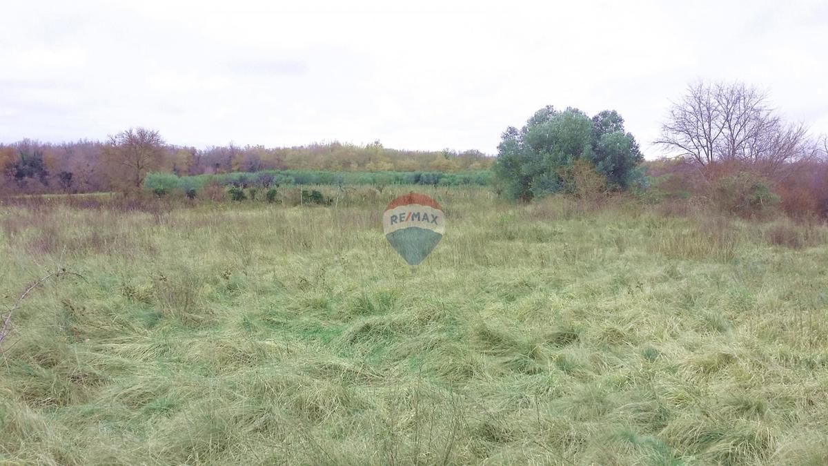 Stavbno zemljišče Umag, 975m2