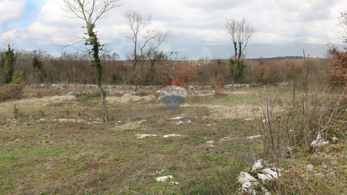 Stavbno zemljišče Tinjan, 605m2