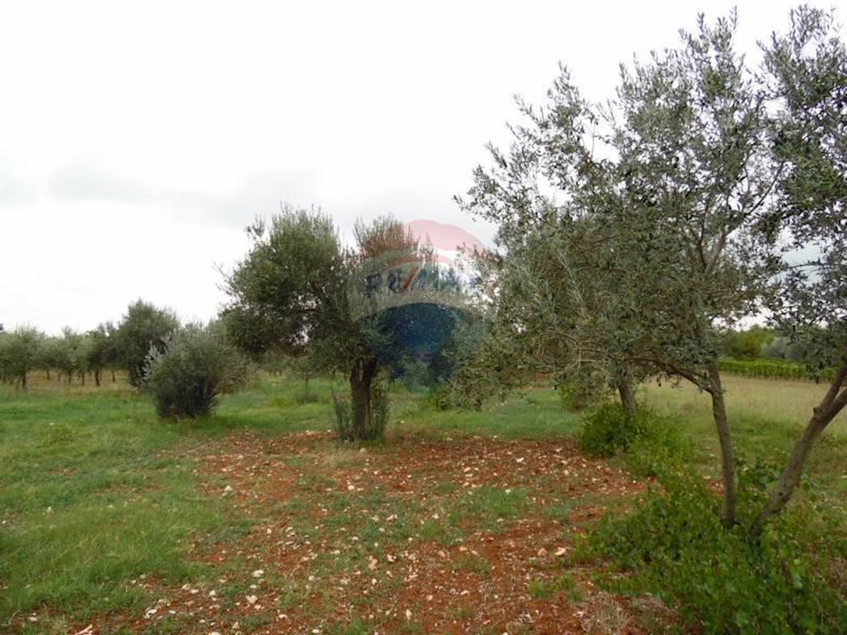 Stavbno zemljišče Fažana, 663m2