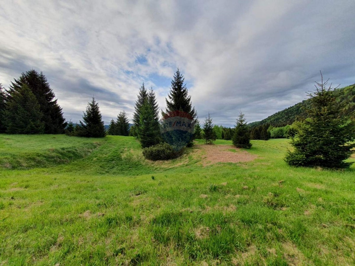 Ravna Gora, 12.304m2