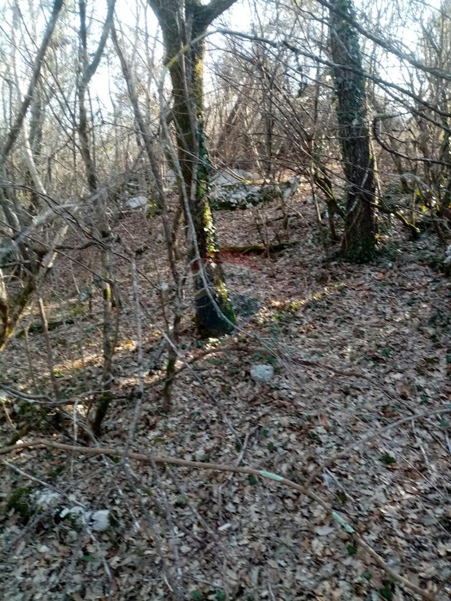 Krculi, Žminj, 15.200m2