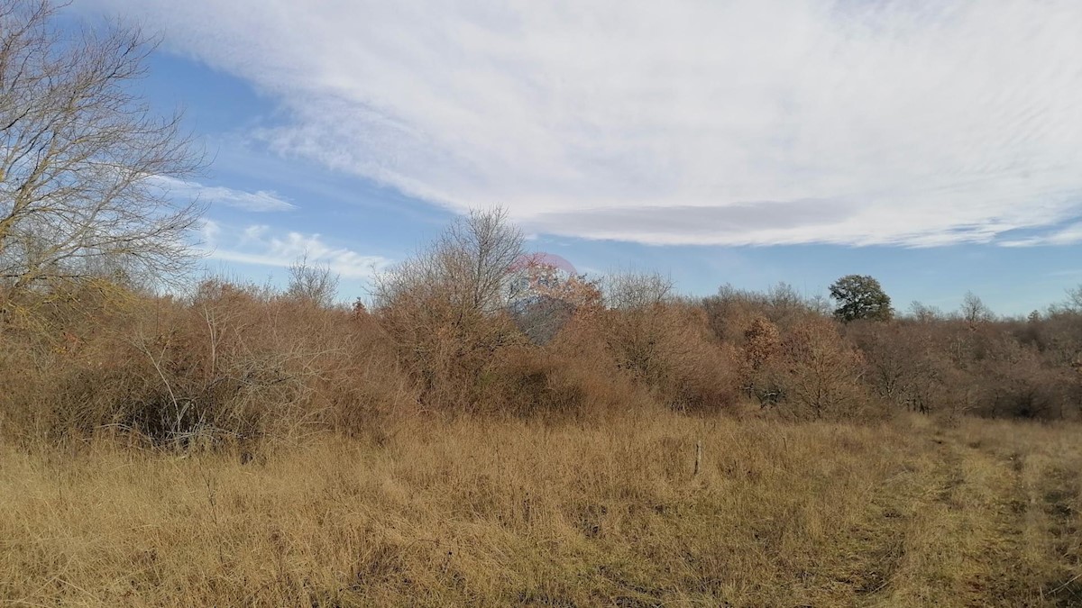 Žbandaj, Poreč, 18.045m2