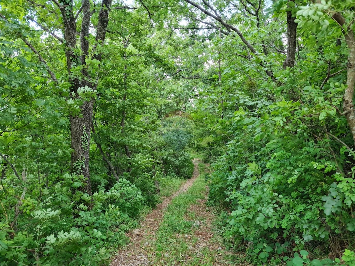 Brseč, Mošćenička Draga, 9.200m2