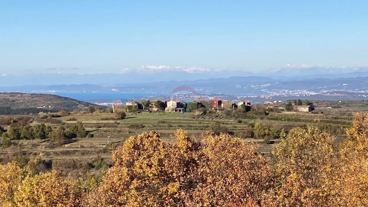 Kućibreg, Buje, 4.513m2