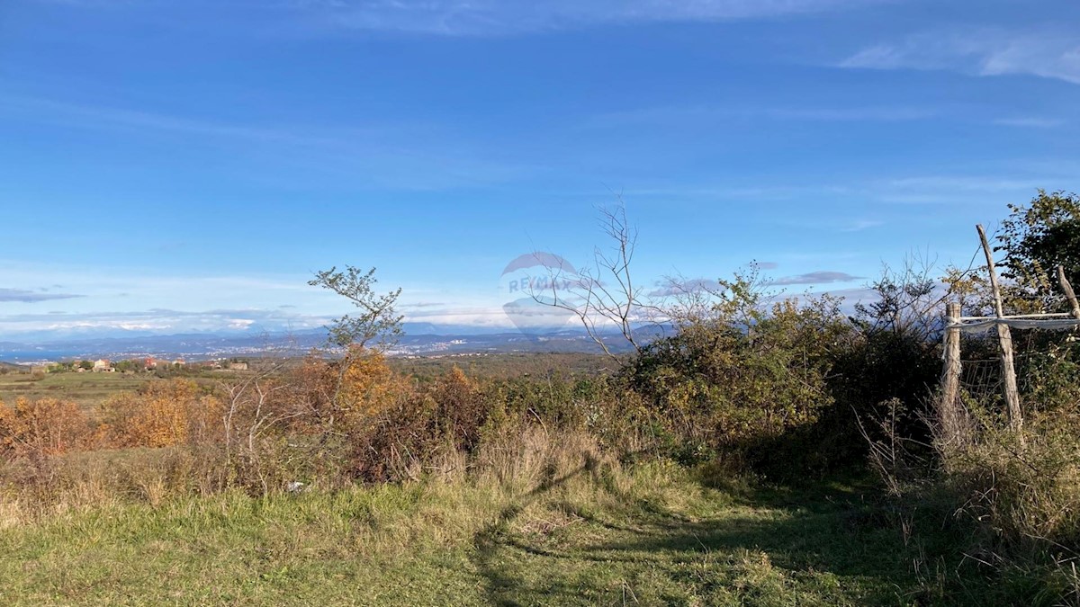 Kućibreg, Buje, 4.513m2