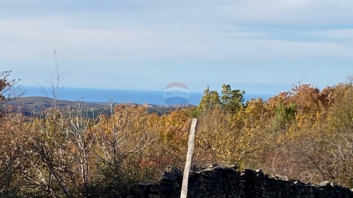 Kućibreg, Buje, 4.513m2