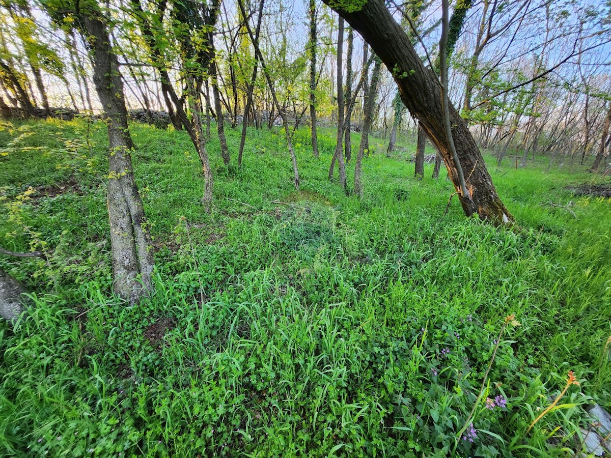 Zastenice, Čavle, 1.077m2