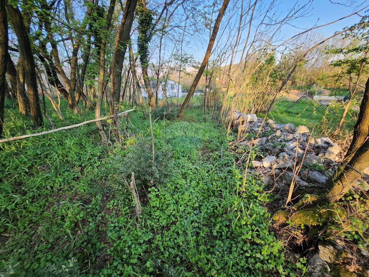 Zastenice, Čavle, 1.077m2