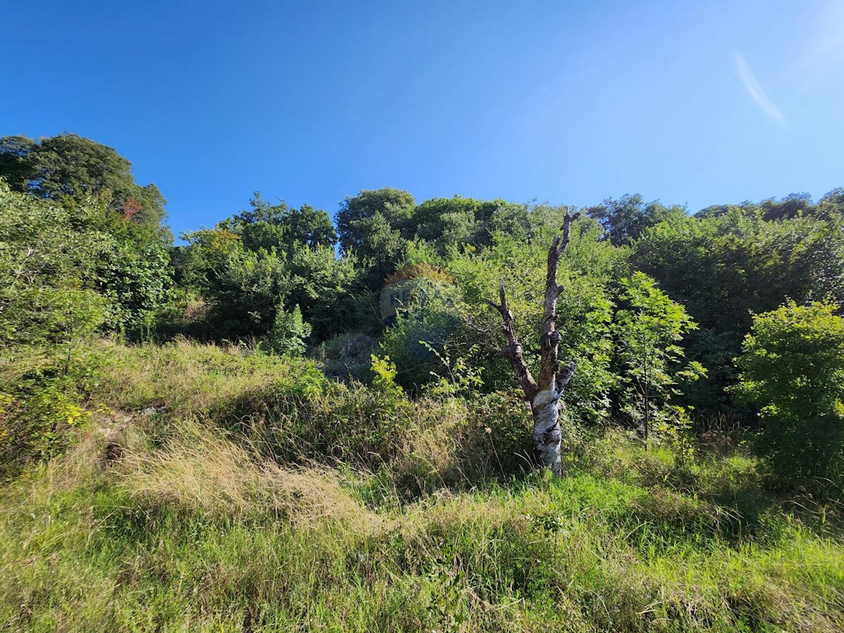 Stavbno zemljišče Draga, Rijeka, 1.278m2