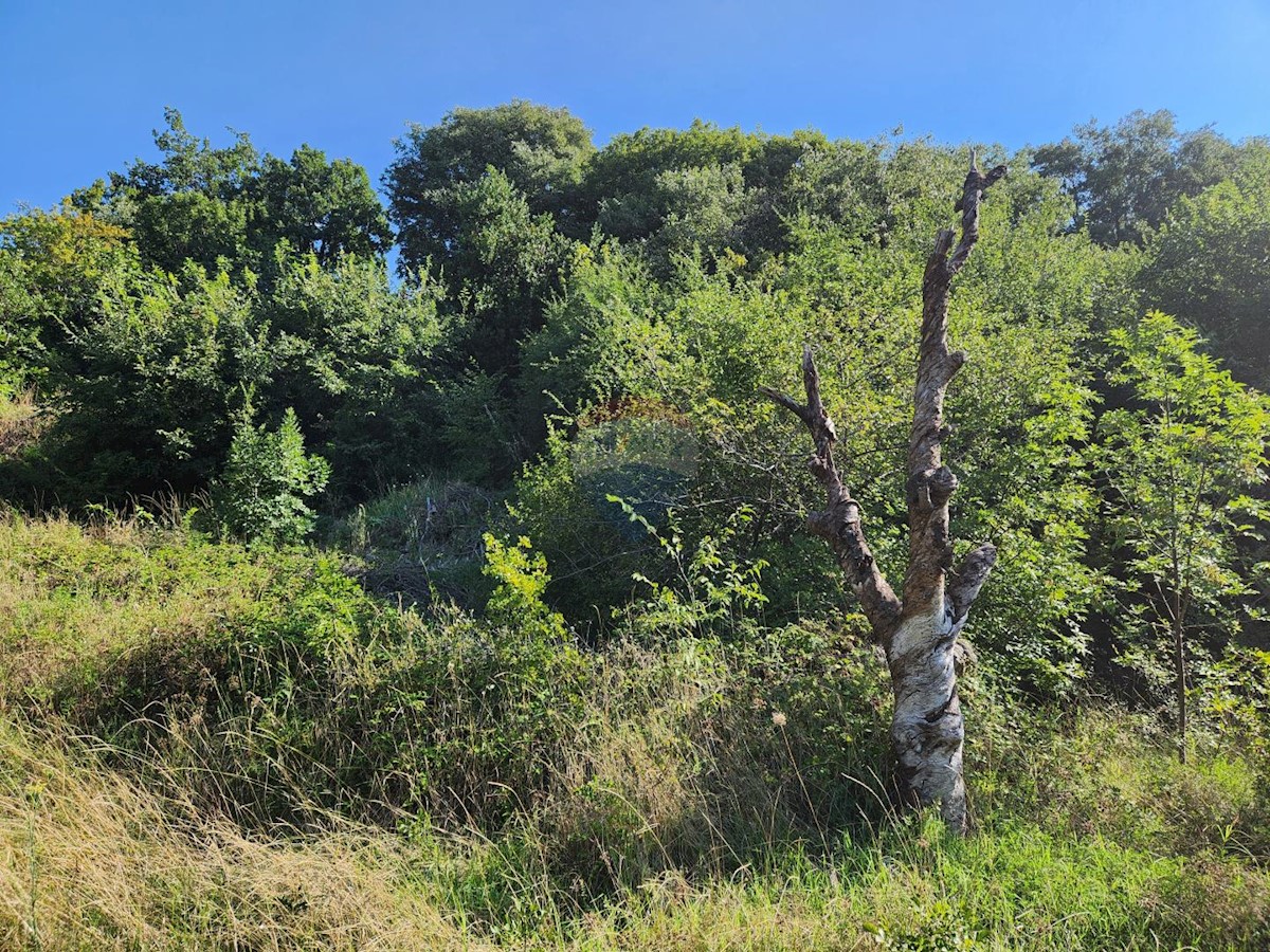 Stavbno zemljišče Draga, Rijeka, 1.278m2