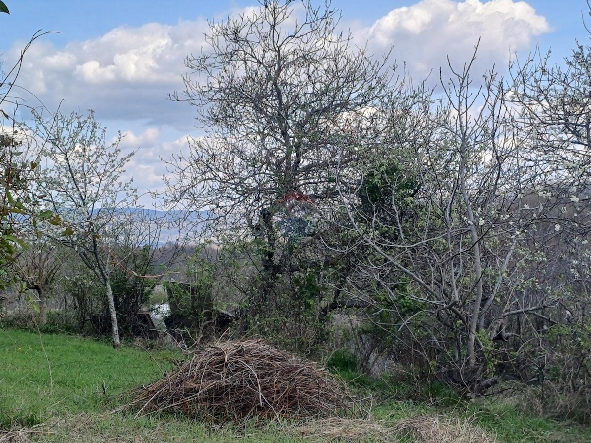 Hiša Kućibreg, Buje, 120m2