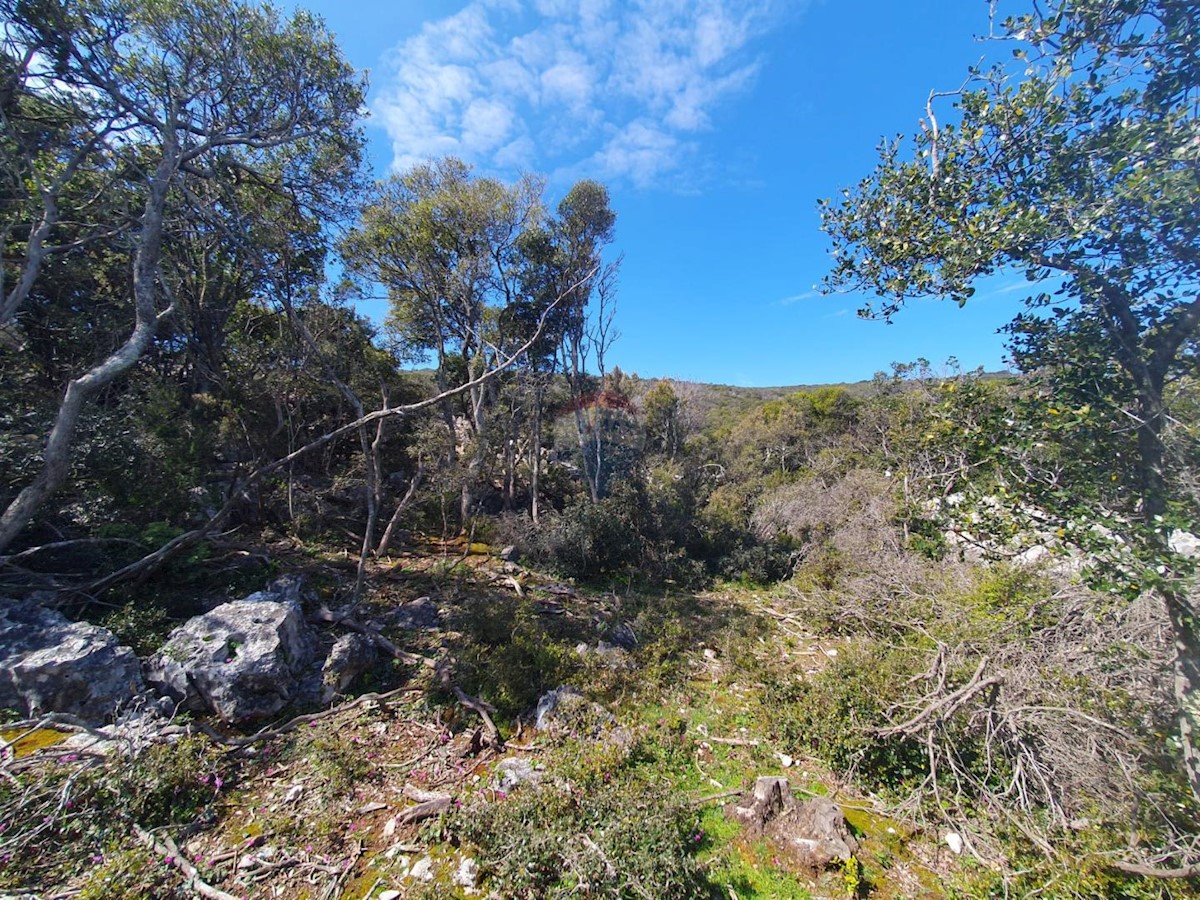 Stavbno zemljišče Veli Lošinj, Mali Lošinj, 3.874m2