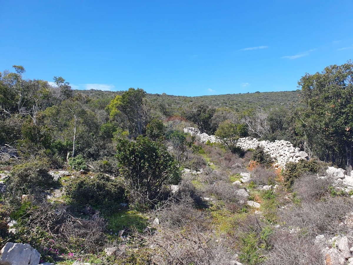 Stavbno zemljišče Veli Lošinj, Mali Lošinj, 3.874m2