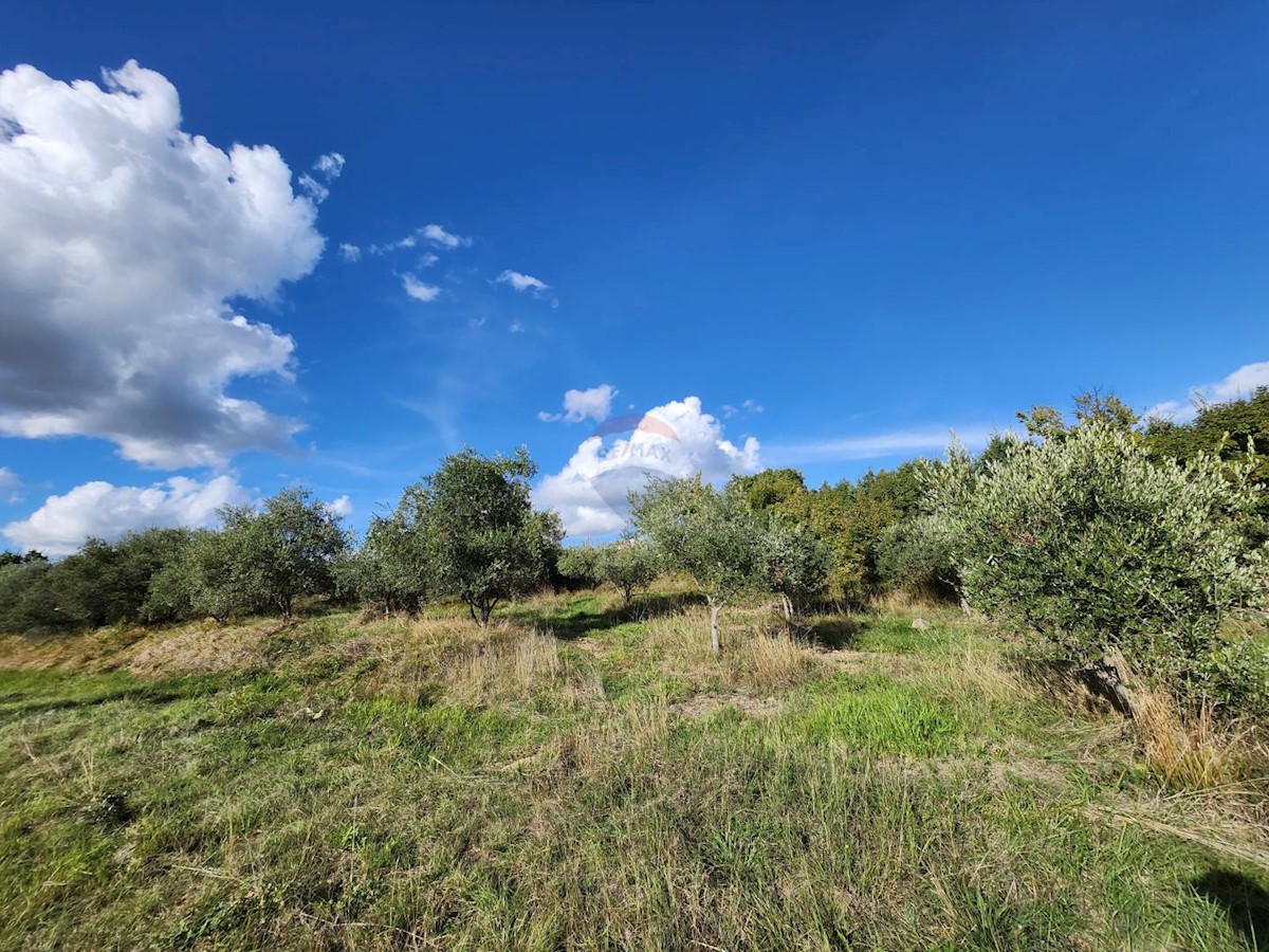 Stavbno zemljišče Račice, Buzet, 4.090m2