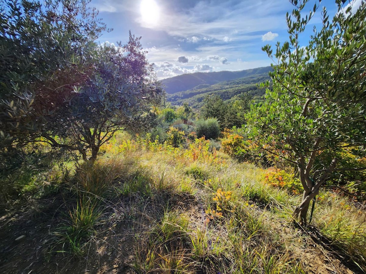 Stavbno zemljišče Račice, Buzet, 4.090m2