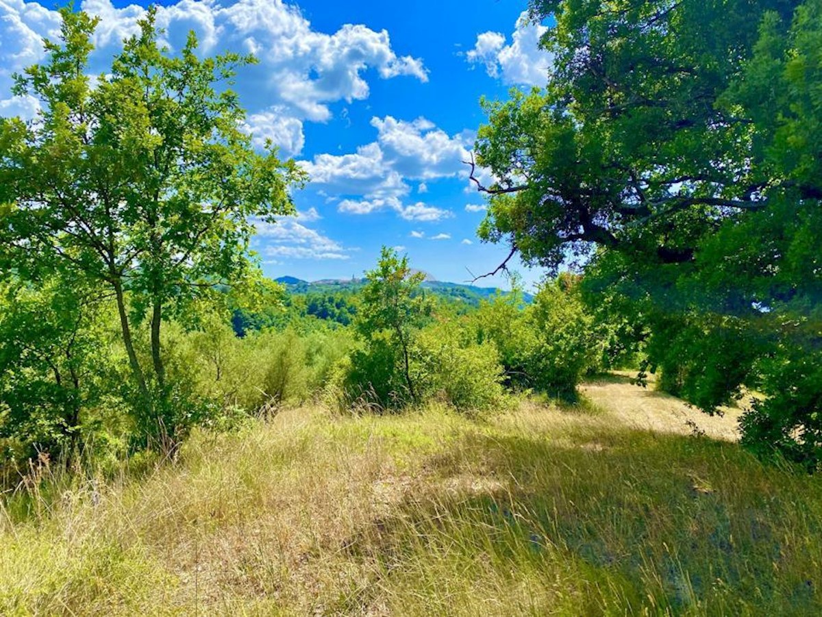 Stavbno zemljišče Draguć, Cerovlje, 2.257m2