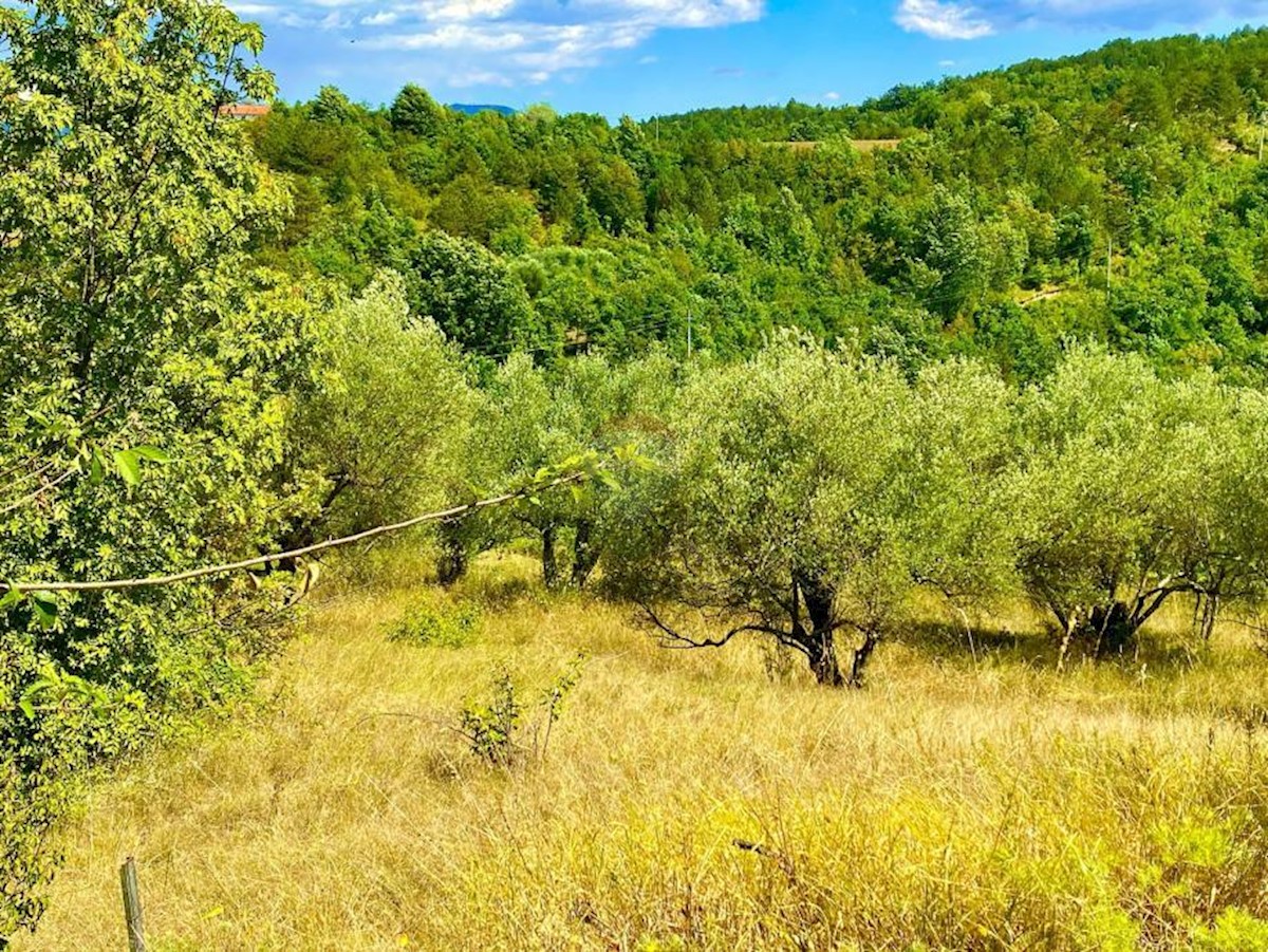 Stavbno zemljišče Draguć, Cerovlje, 2.257m2