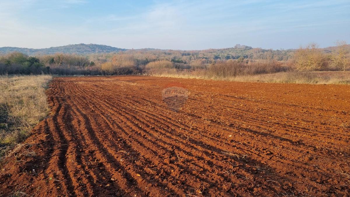 Stavbno zemljišče Rovinjsko Selo, Rovinj, 3.180m2