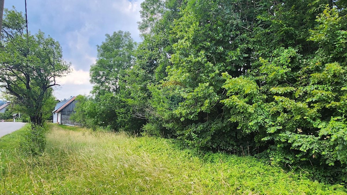 Stavbno zemljišče Kupjak, Ravna Gora, 1.426m2