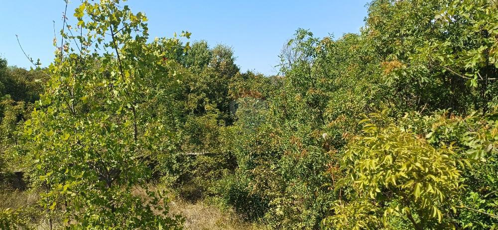 Stavbno zemljišče Loborika, Marčana, 3.200m2