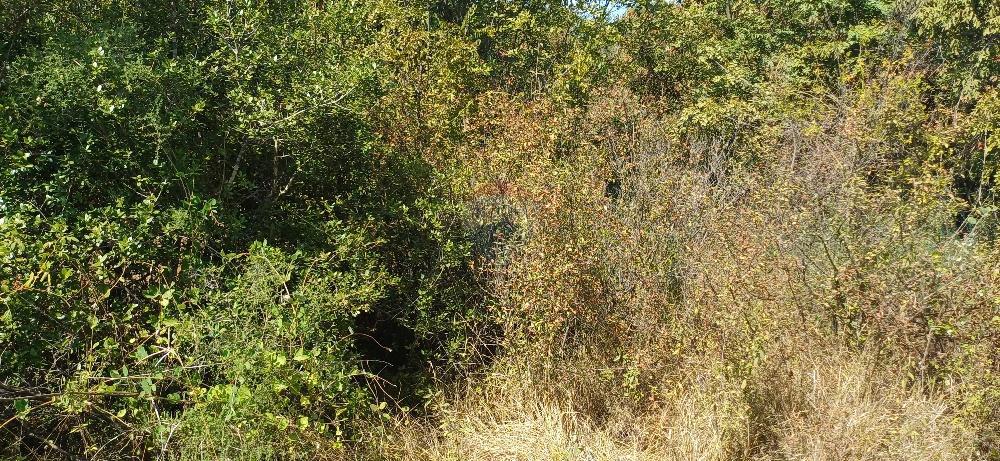 Stavbno zemljišče Loborika, Marčana, 3.200m2