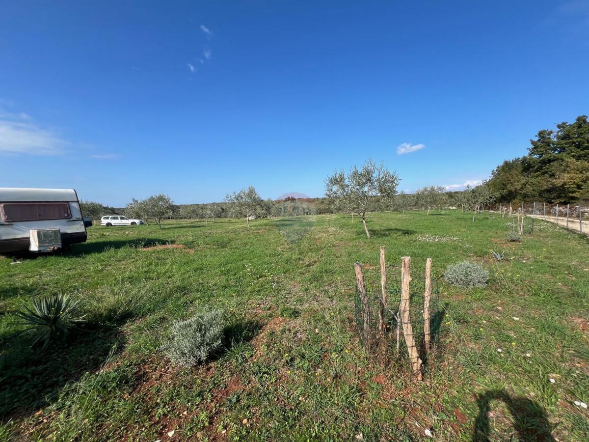 Stavbno zemljišče Vodnjan, 13.842m2
