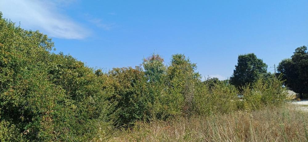 Stavbno zemljišče Loborika, Marčana, 780m2
