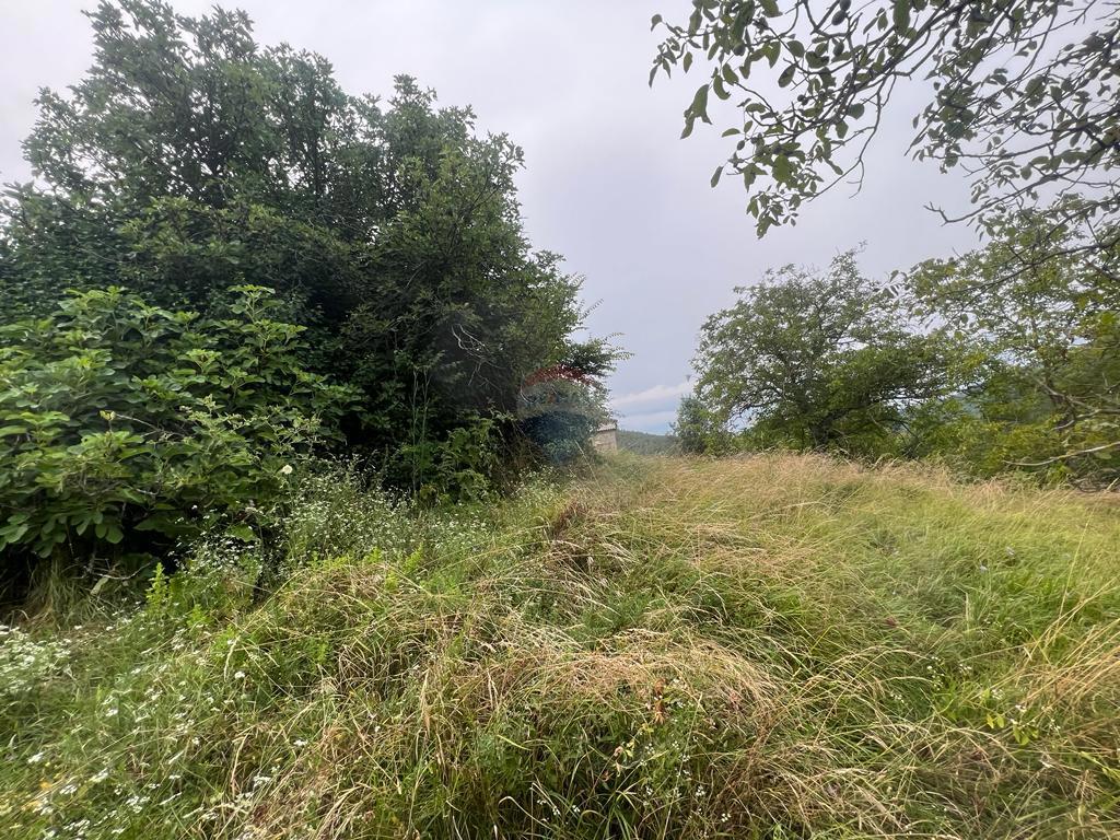 Hiša Sovinjak, Buzet, 57.356m2