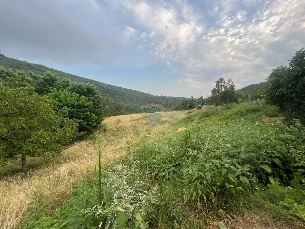 Hiša Sovinjak, Buzet, 57.356m2
