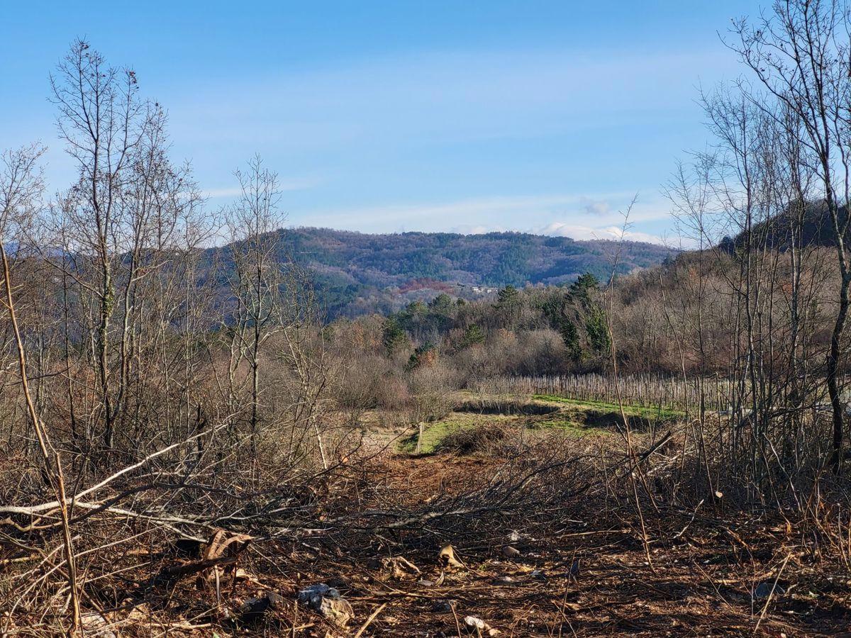 Hiša Sovinjak, Buzet, 57.356m2