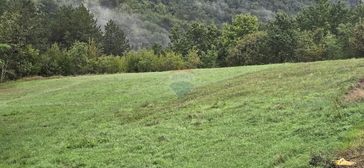 Hiša Sovinjak, Buzet, 57.356m2