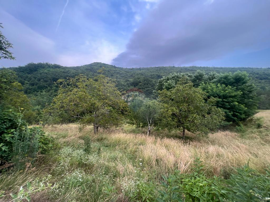 Hiša Sovinjak, Buzet, 57.356m2