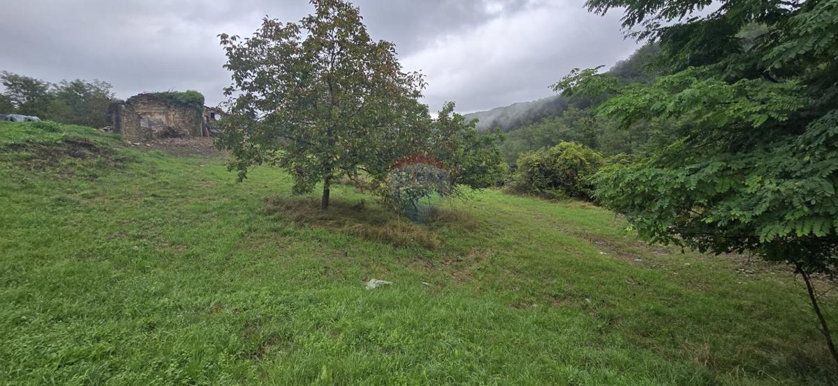 Hiša Sovinjak, Buzet, 57.356m2