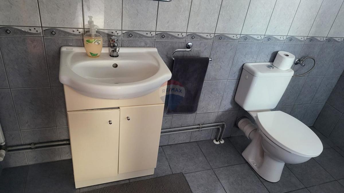 Hiša Gornje Rakarje, Velika Gorica, 378m2