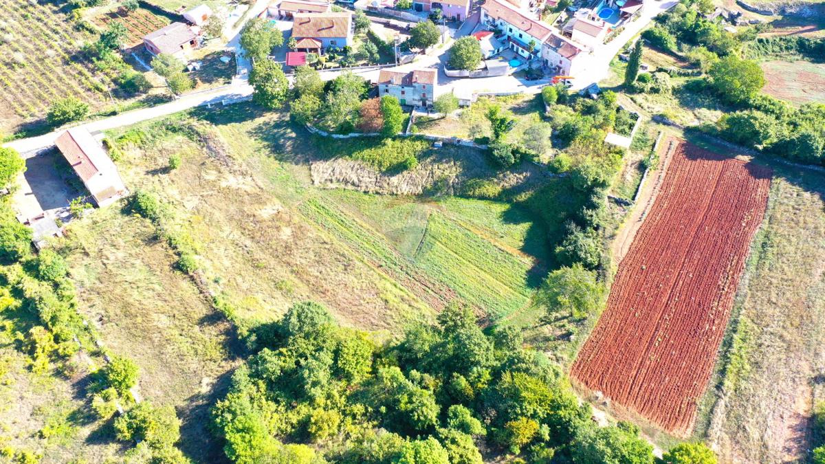 Hiša Marići, Kanfanar, 6.188m2