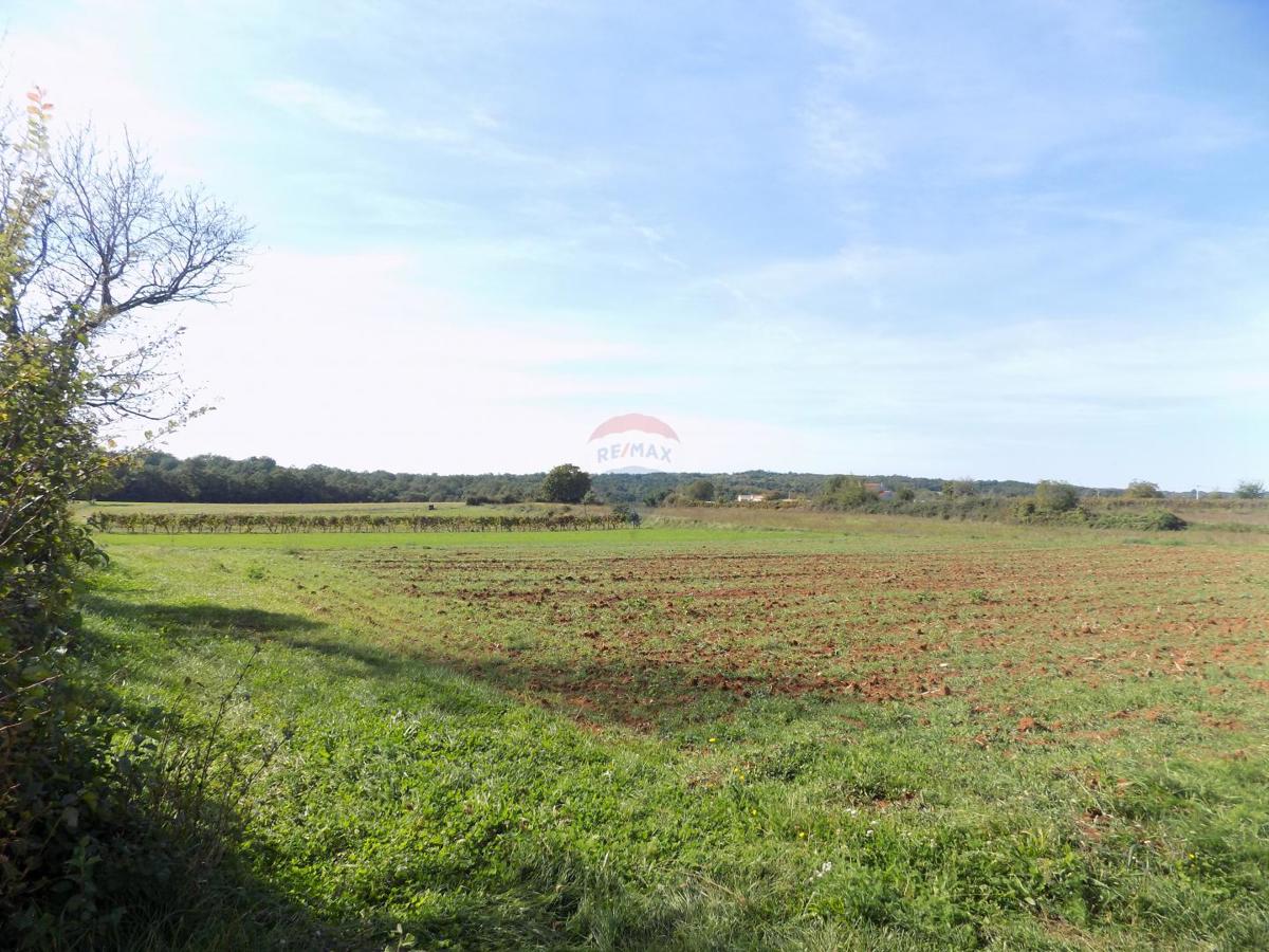 Istria, Barban - favorable agricultural land 