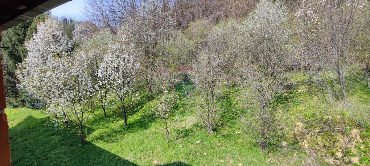 Hiša Obrež Zelinski, Sveti Ivan Zelina, 840m2