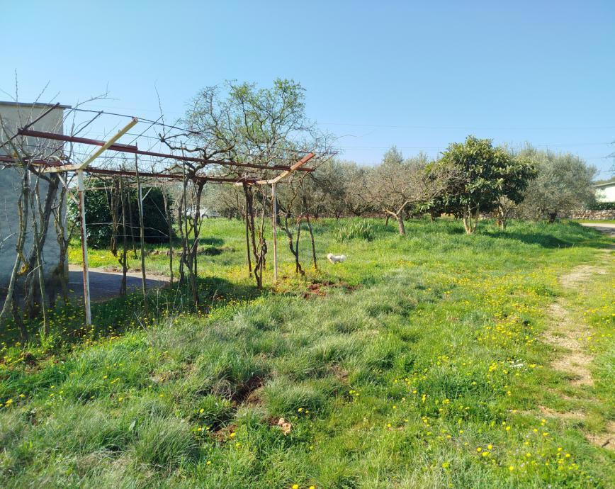 Pula, Valdebek – vikend hišica 25 m2 z 1200 m2 zemljišča