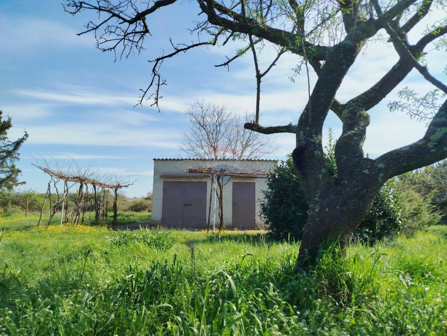 Pula, Valdebek – vikend hišica 25 m2 z 1200 m2 zemljišča