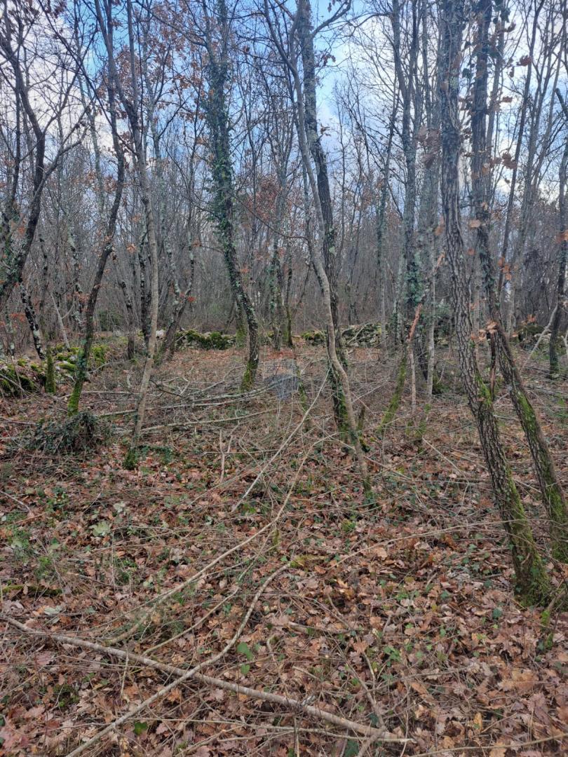Stavbno zemljišče Kringa, Tinjan, 1.150m2