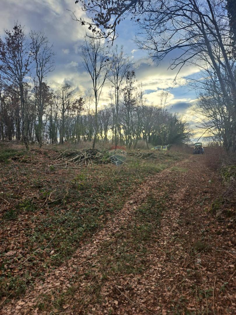 Stavbno zemljišče Kringa, Tinjan, 1.150m2