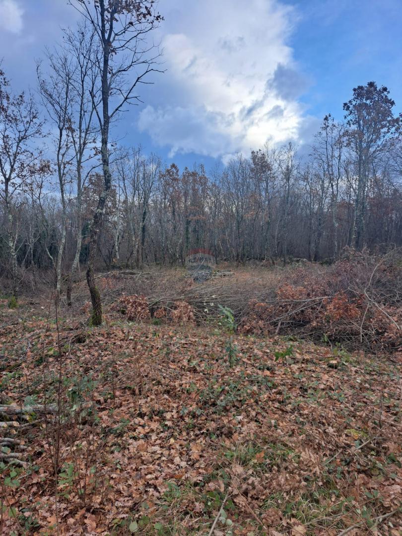 Stavbno zemljišče Kringa, Tinjan, 1.150m2