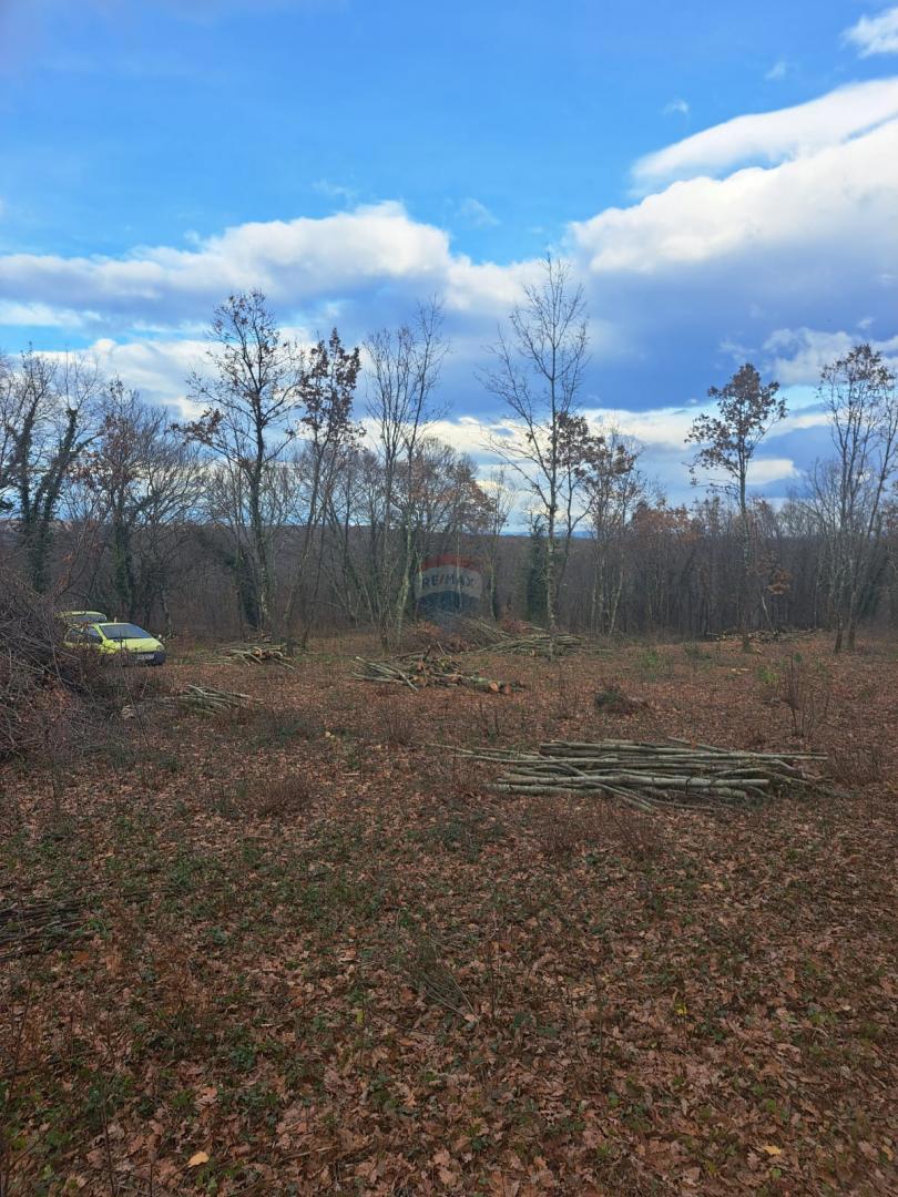 Stavbno zemljišče Kringa, Tinjan, 1.150m2