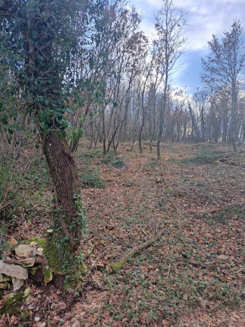 Stavbno zemljišče Kringa, Tinjan, 1.150m2