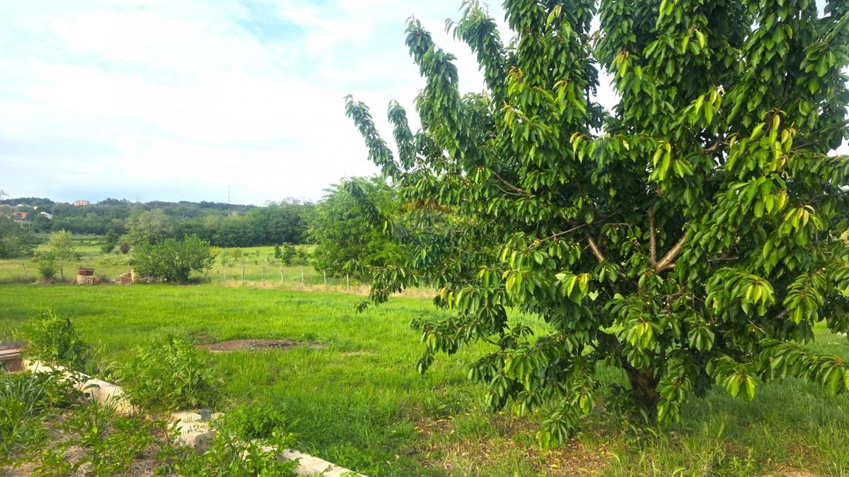 Stavbno zemljišče Materada, Umag, 1.109m2