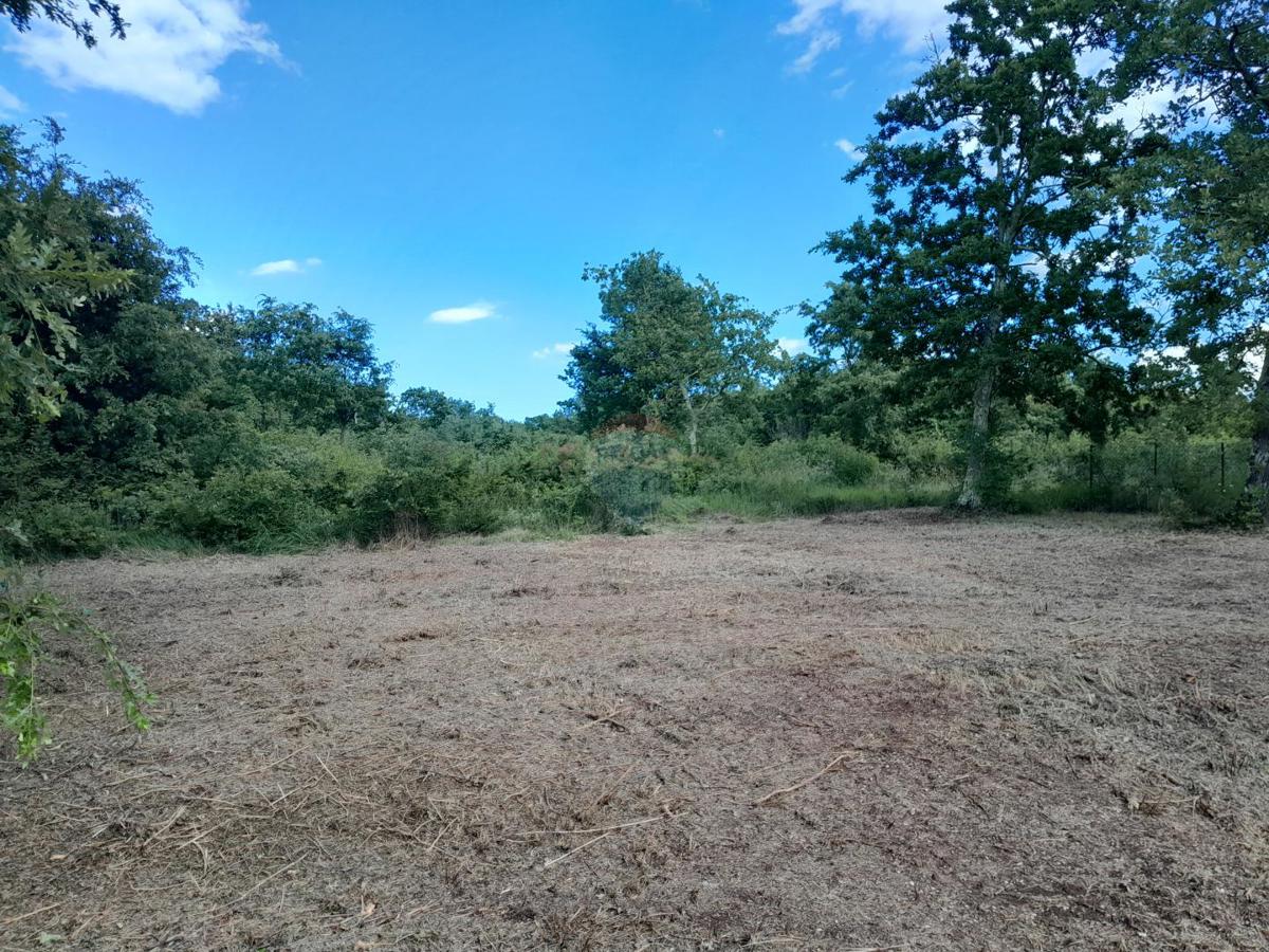 Stavbno zemljišče Cukrići, Svetvinčenat, 1.143m2